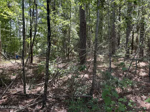 tbd River Road N Shell Oil Rd, Summit, MS 39666 photo 2