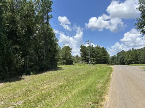 tbd River Road N Shell Oil Rd, Summit, MS 39666 photo 6
