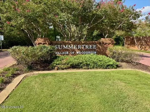 216 Sherlock Way, Madison, MS 39110 photo 37