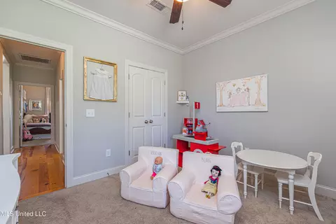 Other - 119 Claiborne St, Madison, MS 39110 photo 15 of 16