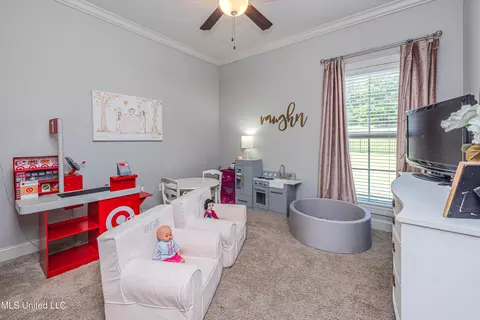 Other - 119 Claiborne St, Madison, MS 39110 photo 14 of 16