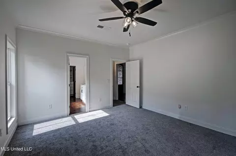 318 Turtle Holw, Brandon, MS 39047 photo 29