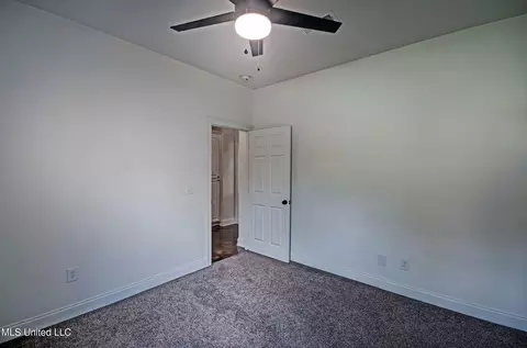 318 Turtle Holw, Brandon, MS 39047 photo 24