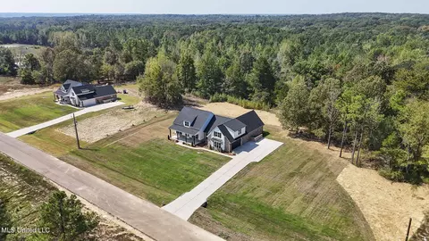 8177 Milne Way, Hernando, MS 38632 photo 40