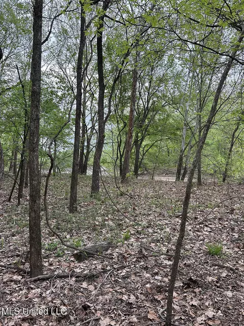 County Road 150, Greenwood, MS 38930