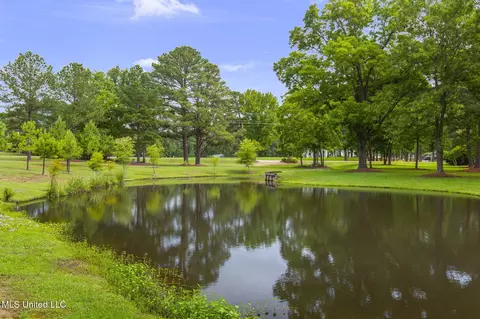View/Area - 407 Saint Augustine Dr #407, Madison, MS 39110 photo 1 of 2