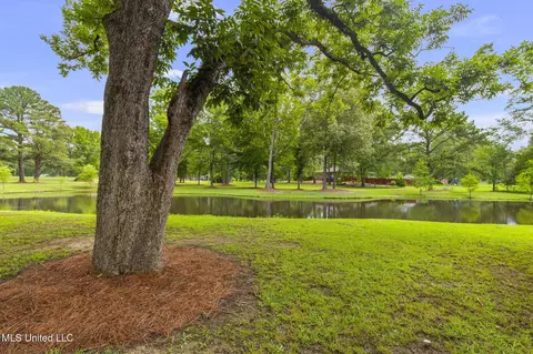 Exterior - 407 Saint Augustine Dr #407, Madison, MS 39110 photo 42 of 52