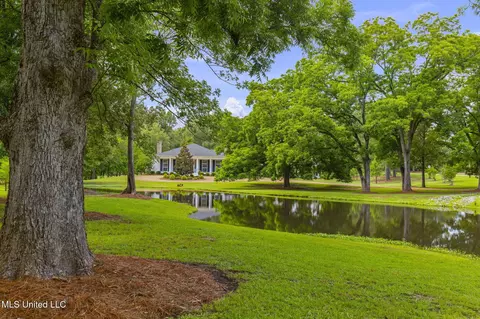 Exterior - 407 Saint Augustine Dr #407, Madison, MS 39110 photo 45 of 52