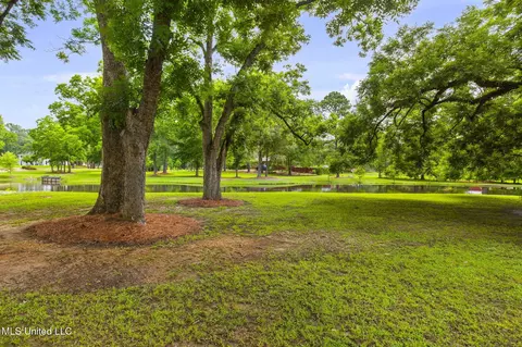 Exterior - 407 Saint Augustine Dr #407, Madison, MS 39110 photo 41 of 52