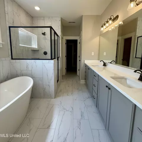 Bath - 1335 Creekside Ln, Hernando, MS 38632 photo 2 of 4