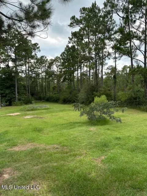 13213 Southern Pne, Vancleave, MS 39565 photo 8