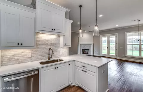 Kitchen - 502 Black Cherry Cv, Canton, MS 39046 photo 13 of 14