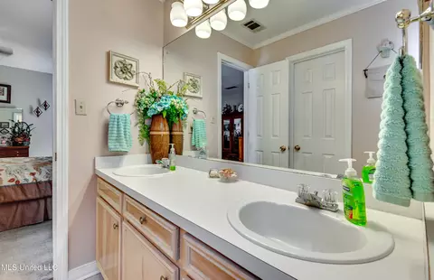 Bath - 409 Mockingbird Ln, Madison, MS 39110 photo 3 of 4