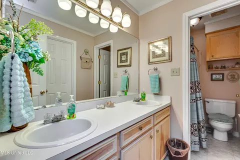 Bath - 409 Mockingbird Ln, Madison, MS 39110 photo 2 of 4