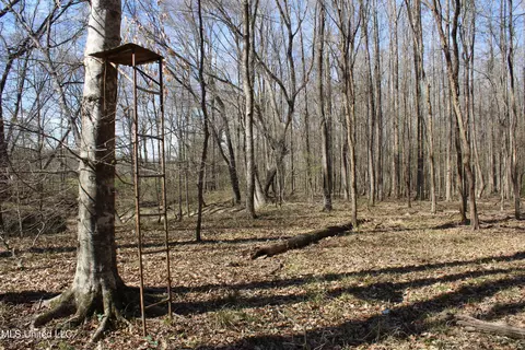 Cr 3225, Kosciusko, MS 39090 photo 7