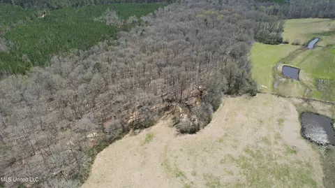 Cr 3225, Kosciusko, MS 39090 photo 13