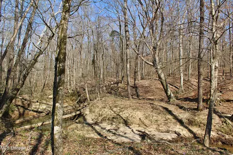 Cr 3225, Kosciusko, MS 39090 photo 5