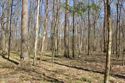 Cr 3225, Kosciusko, MS 39090 photo 3