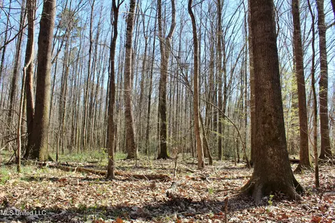 Cr 3225, Kosciusko, MS 39090 photo 6
