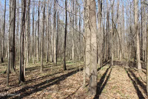 Cr 3225, Kosciusko, MS 39090 photo 8
