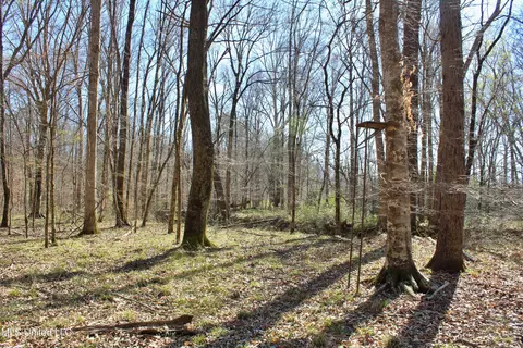Cr 3225, Kosciusko, MS 39090 photo 2