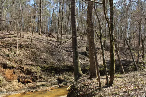 Cr 3225, Kosciusko, MS 39090 photo 9