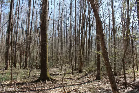 Cr 3225, Kosciusko, MS 39090 photo 10