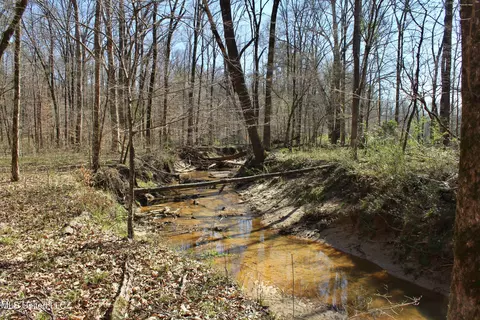 Cr 3225, Kosciusko, MS 39090 photo 4