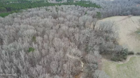 Cr 3225, Kosciusko, MS 39090 photo 11