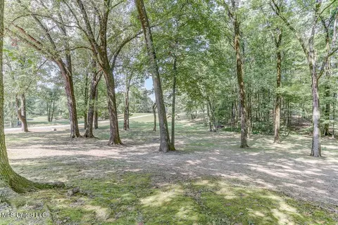 2284 N Fogg Rd, Nesbit, MS 38651 photo 53