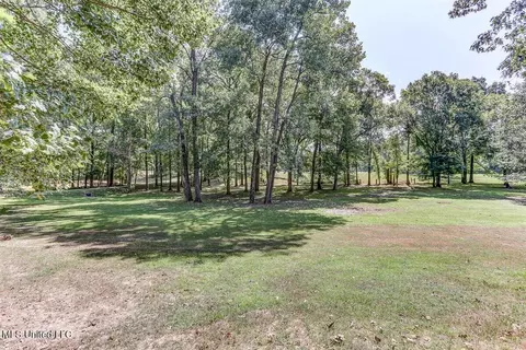 2284 N Fogg Rd, Nesbit, MS 38651 photo 52