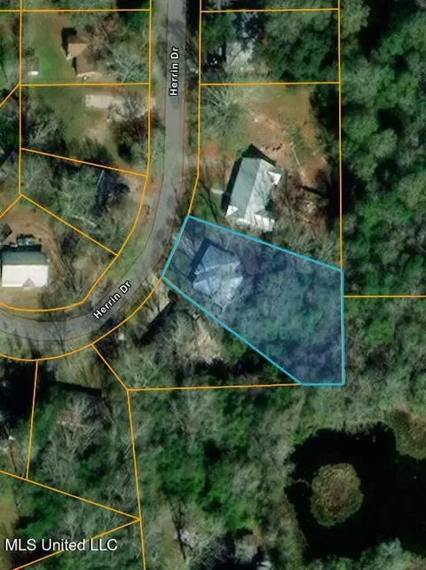 847 Herrin Dr, Picayune, MS 39466 photo 21