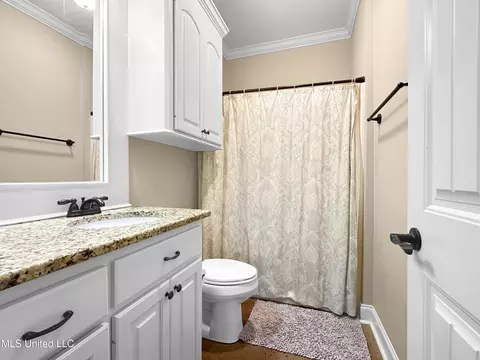 Bath - 173 Copper Ridge Ln, Florence, MS 39073 photo 3 of 3
