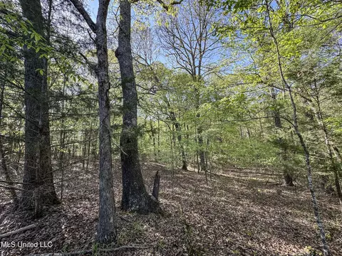tbd John Branch Rd, Batesville, MS 38606 photo 41