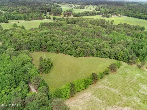 tbd John Branch Rd, Batesville, MS 38606 photo 12