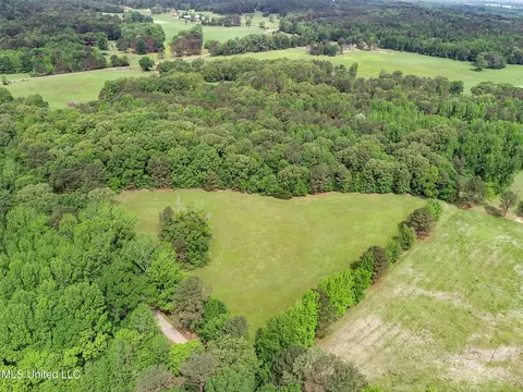 tbd John Branch Rd, Batesville, MS 38606 photo 11