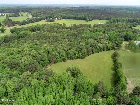 tbd John Branch Rd, Batesville, MS 38606 photo 8