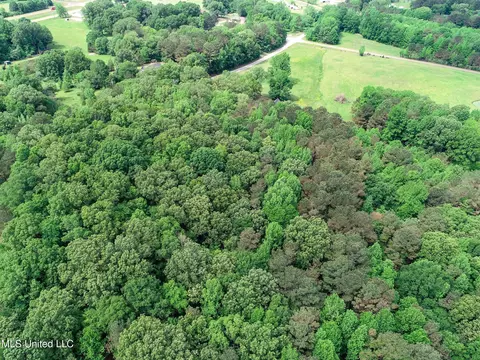 tbd John Branch Rd, Batesville, MS 38606 photo 20