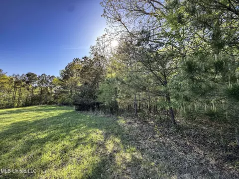 tbd John Branch Rd, Batesville, MS 38606 photo 44