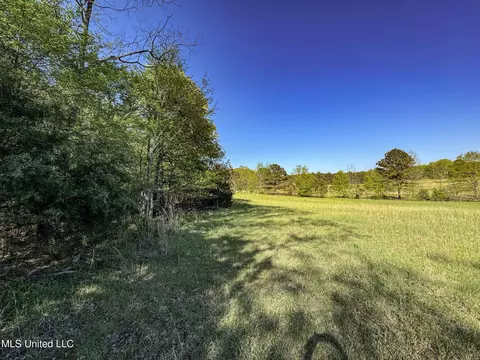 tbd John Branch Rd, Batesville, MS 38606 photo 43