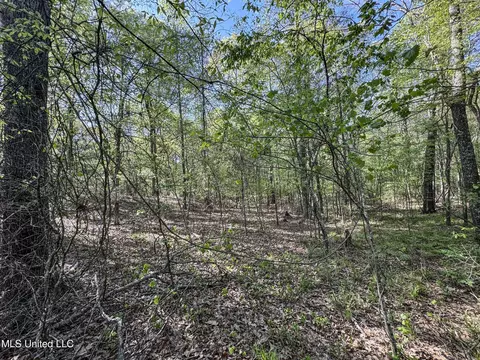 tbd John Branch Rd, Batesville, MS 38606 photo 39
