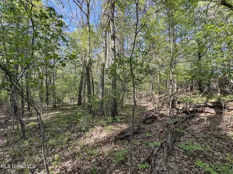 tbd John Branch Rd, Batesville, MS 38606 photo 40