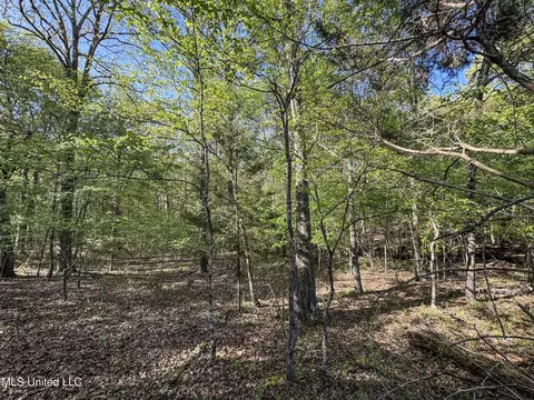 tbd John Branch Rd, Batesville, MS 38606 photo 42