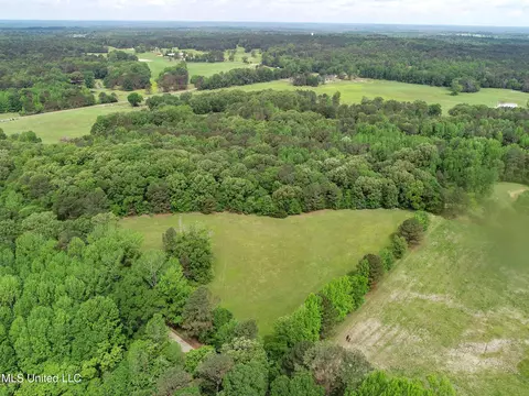 tbd John Branch Rd, Batesville, MS 38606 photo 10