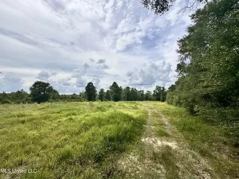 40 Acres Luther Davis Rd, Lucedale, MS 39452