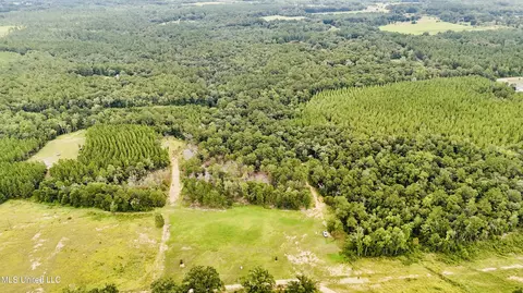 10 Ac Roy Fairley Rd, Lucedale, MS 39452 photo 16