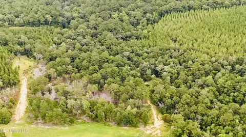10 Ac Roy Fairley Rd, Lucedale, MS 39452 photo 13