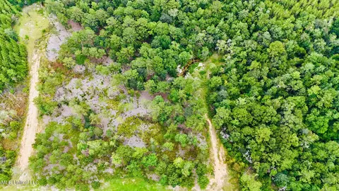 10 Ac Roy Fairley Rd, Lucedale, MS 39452 photo 7