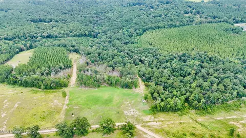 10 Ac Roy Fairley Rd, Lucedale, MS 39452 photo 10