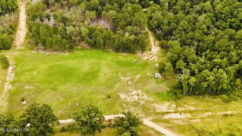 10 Ac Roy Fairley Rd, Lucedale, MS 39452 photo 4